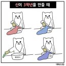 블루포트 성신여대점 | 정신체리 🍒