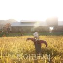 산과별 관광농원 이미지