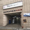 부산적십자회관수영장 이미지