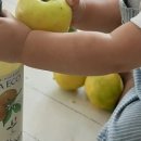 원크리너 이미지