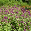 흙집정원 이미지