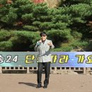 라이브가요산책