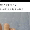 공익갤러리 레전드 이미지