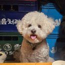대동집 미아사거리점 | 미아사거리 분위기 좋은 전집추천대동집 미아사거리점