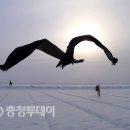 사진마당 이미지