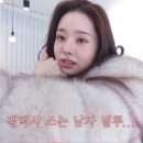 프리지아 이미지