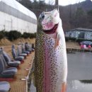 역돔낚시터 이미지