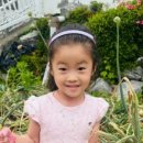 백합유치원 이미지