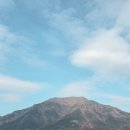 사과꽃 피는 저녁 이미지