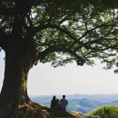 성흥슈퍼 | 가정의 달 5월에 부여 성흥산성 사랑나무에서 가족 인생샷 찍었어요!