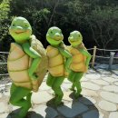 좌구산휴양랜드 이미지