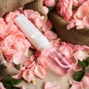 로즈펫 | [체험단]🌹페리티 다마스크로즈 안티 탱글 볼류밍 펫 브러쉬🌹