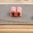 참치몽 이미지