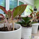 지킴이문학지역아동센터 이미지