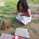 행복펜션 이미지