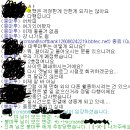 마루마루 이미지