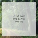 예쁜똥배 이미지