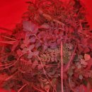 농산물 소개소 이미지