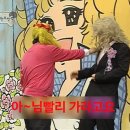 강남-043 이미지