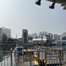 나따오비까 속초점 | 식비만 54만원 나온 속초 1박2일 먹투어 여행 성공 💖