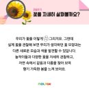 놀작아이소리미술교습소