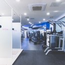 바디메이트 이미지