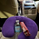 번개오토바이 | [세부] 2일차 오슬롭+모알보알 재도전 성공 후기