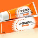 아젤리아 네이버블로그