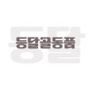 등달 네이버블로그