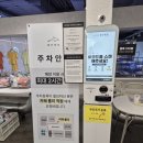 돌핀웨일대구노리터 이미지