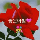 세라에너지 이미지