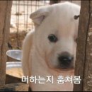 오늘부터 운동PT 이미지