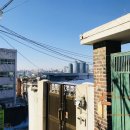 신흥로지선 이미지