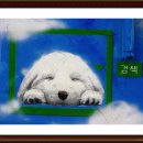 그림있는풍경 이미지