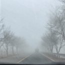 청양 | 충청남도 청양 알프스마을 솔직 후기!!