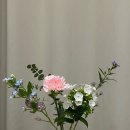 스위트드림플라워성신여대입구역