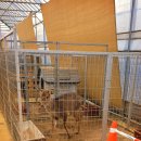 부연농장 | 딸기체험농장(포레스트벨)