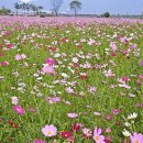 옥천만남 이미지