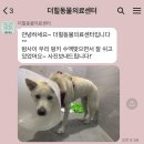 더힐동물의료센터 이미지