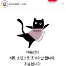 야옹수산 이미지