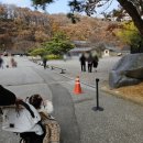 강남백년가약국 | 4살 아이랑 다녀온 한국민속촌 / 저렴하게 입장권 할인 구매 꿀팁