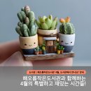 시흥대로123길 이미지