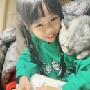 꼬마펫 이미지