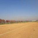 선동잔디구장 Daum카페