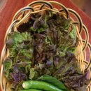 돈주담삼겹살 이미지