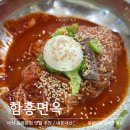 온천사 | 아산 온양온천 함흥면옥 냉면맛집 물냉 비냉 내돈내산후기