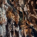 신비로-3 이미지