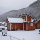 시냇물과 눈꽃세상 이미지