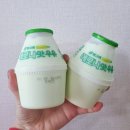 빙그레앞 | 빙그레 메로나맛우유 솔직후기 | 메로나보다 덜 달고 부드러운 단지우유 인생맛