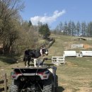 이건목장 이미지